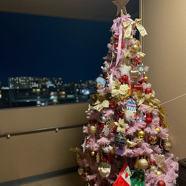 クリスマス/玄関/入り口のインテリア実例 - 2021-12-20 17:51:13