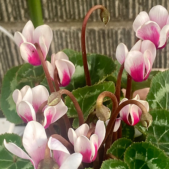YuuKoさんの部屋
