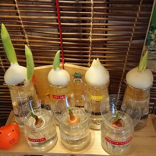 porinさんの実例写真