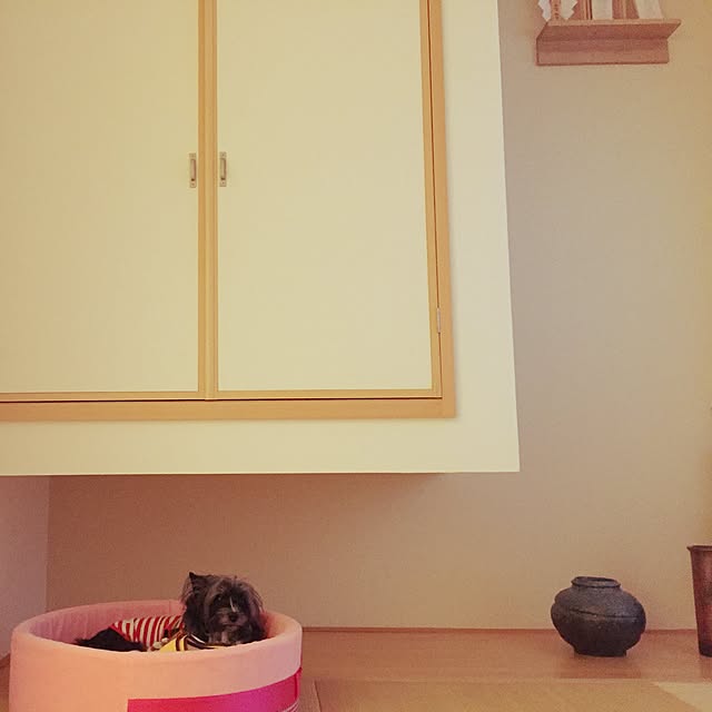 Y.MARINEさんの実例写真