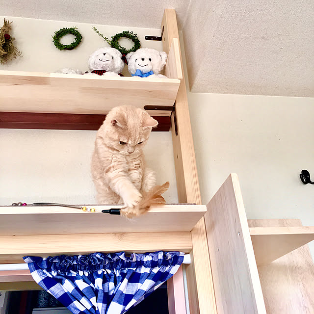 naokoさんの実例写真