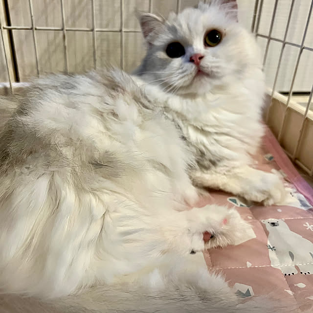 AYUKOさんの部屋