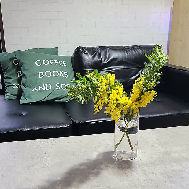 opiopiopiさんの実例写真