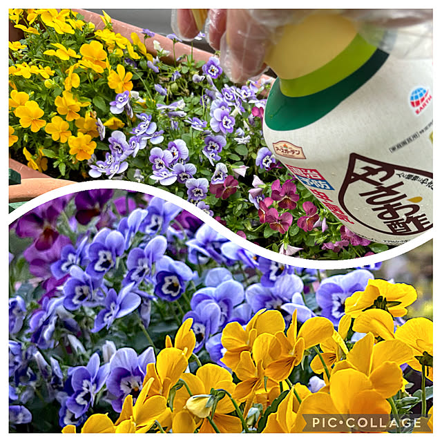 syutmmさんの実例写真