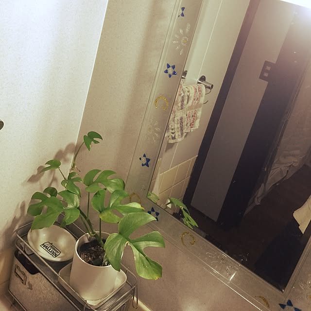 chibiさんの実例写真