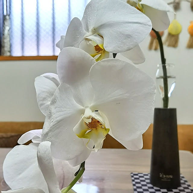 nanaさんの実例写真