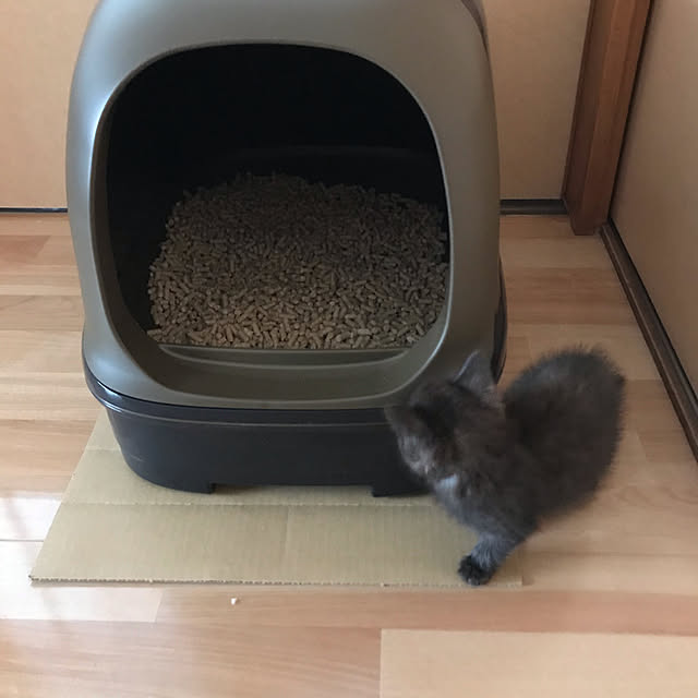 daikichiさんの実例写真