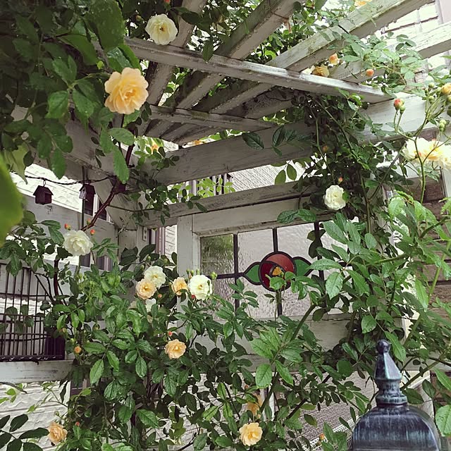 yunaさんの実例写真