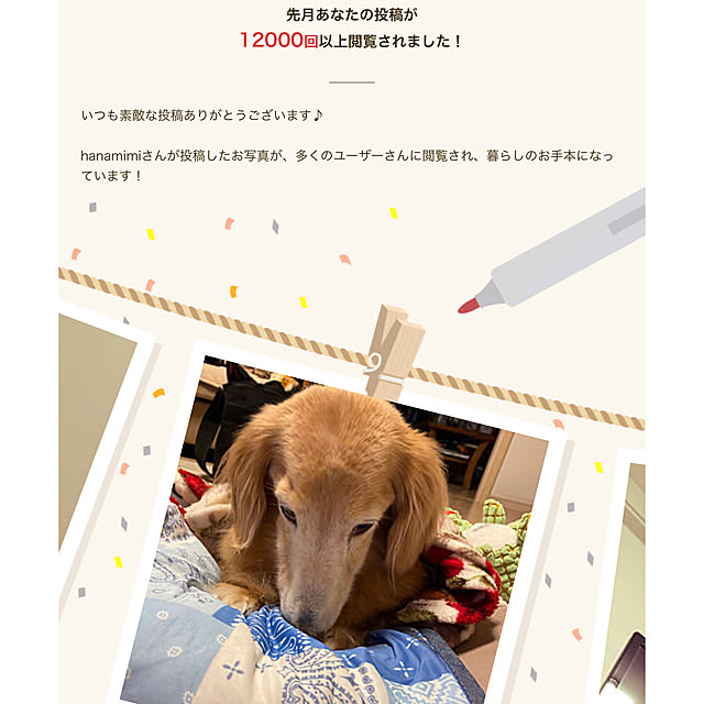 hanamimiさんの実例写真
