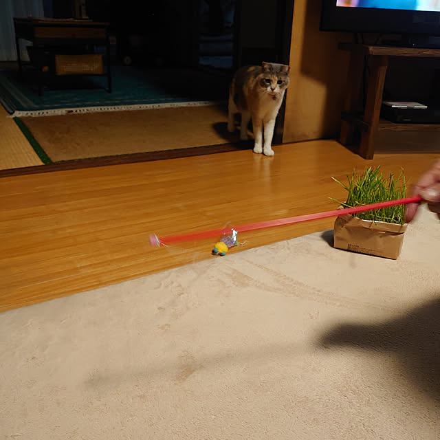 fukuさんの実例写真