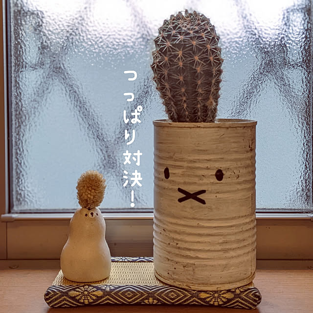 junさんの実例写真