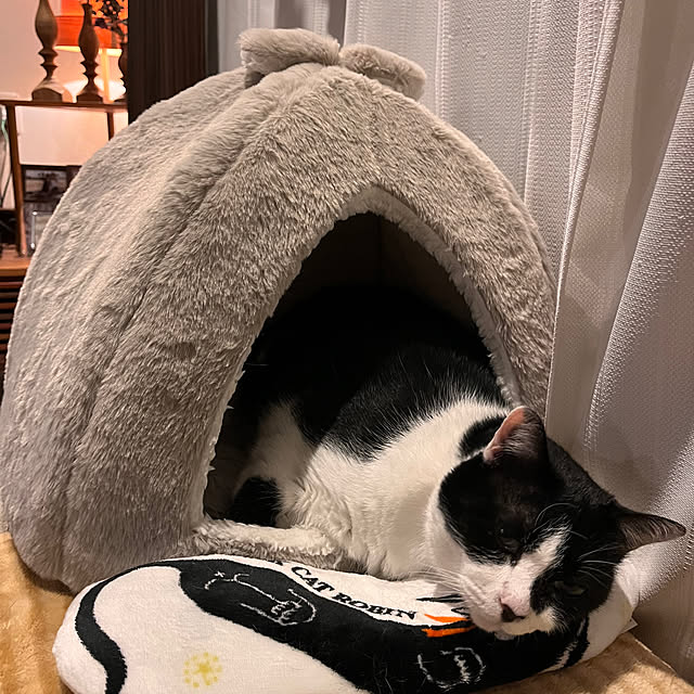 kojimasaさんの部屋