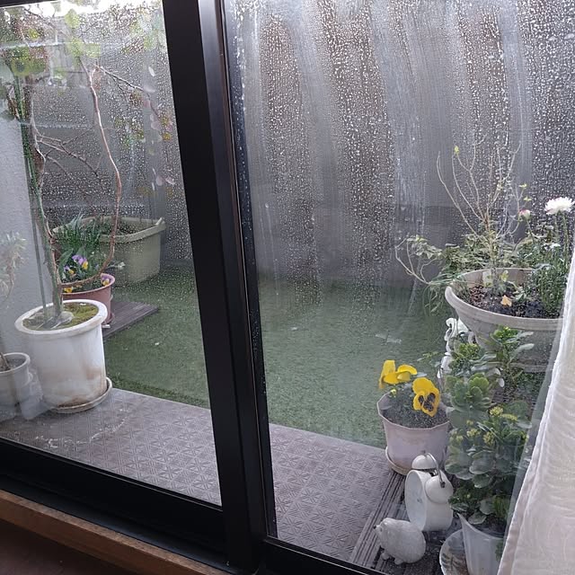 kakkaさんの実例写真