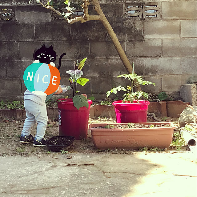 kabuさんの実例写真