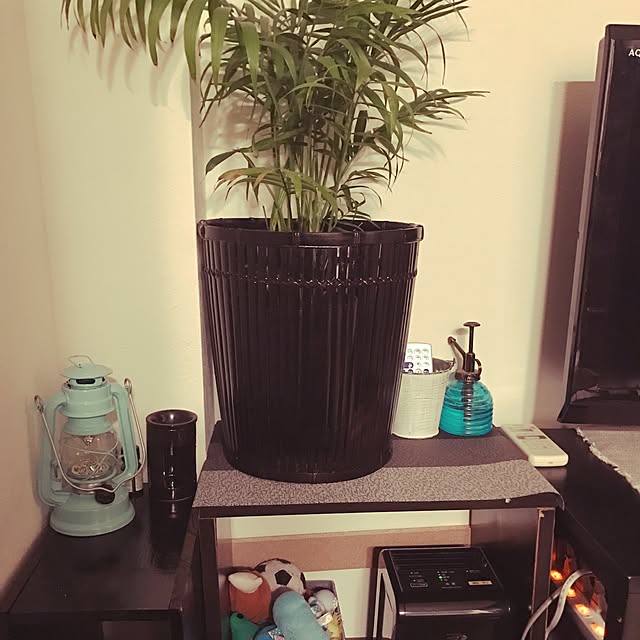 sacchiさんの実例写真