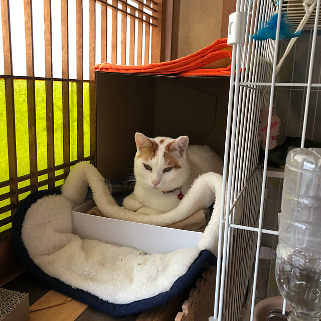 kaeruさんの実例写真