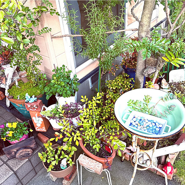 takakoさんの実例写真