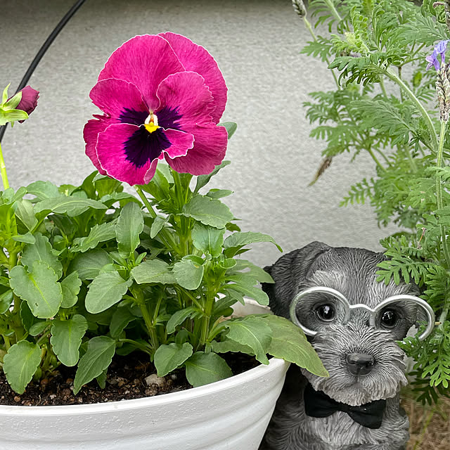 emikoさんの部屋