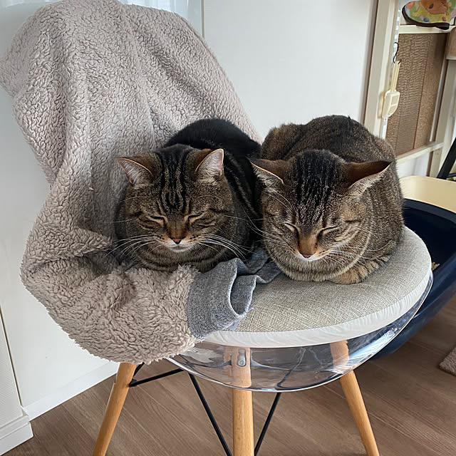 mikomaruさんの実例写真