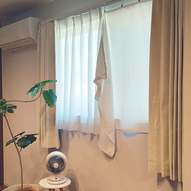 tan5さんの実例写真
