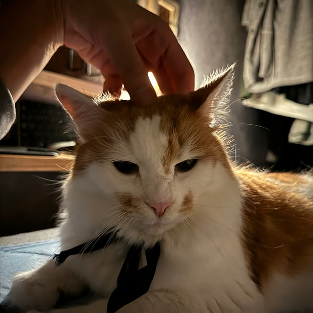 yutaさんの部屋