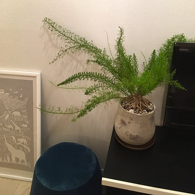 ICORさんの実例写真