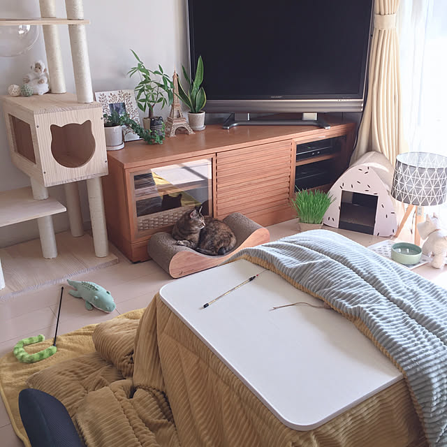 oasisさんの実例写真
