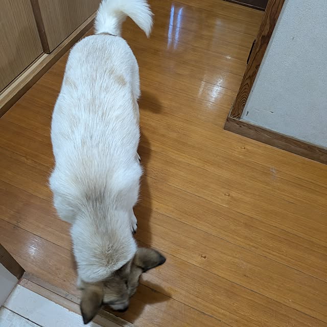 asaさんの部屋