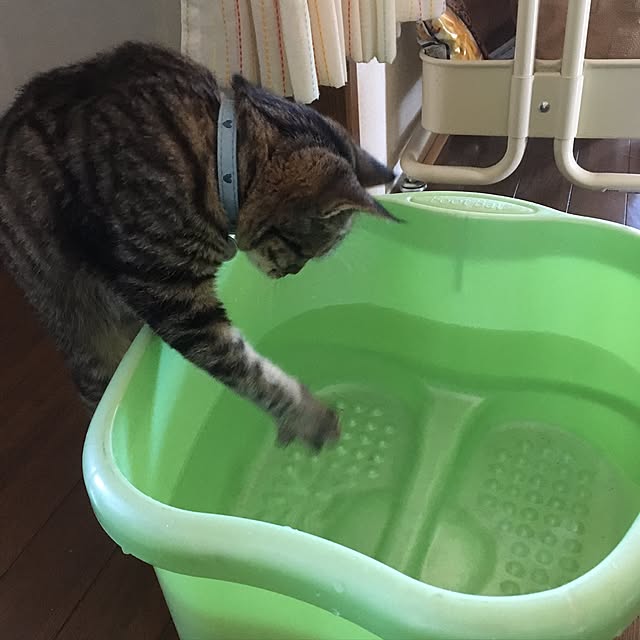 fukuzo_さんの実例写真