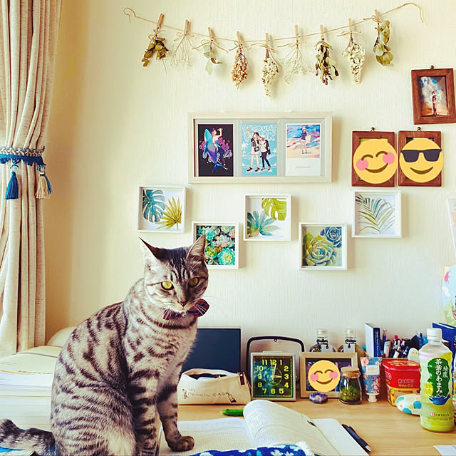 anjuさんの実例写真