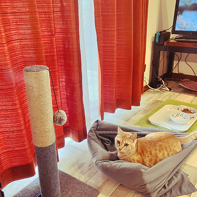 tomorinさんの部屋