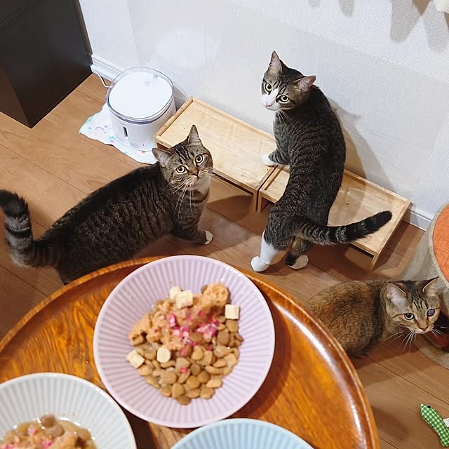 mochicoさんの実例写真