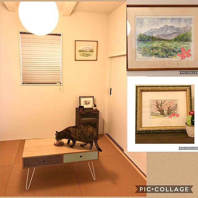 azukikiさんの実例写真