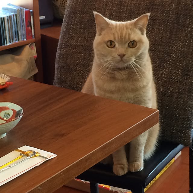 Noelさんの実例写真