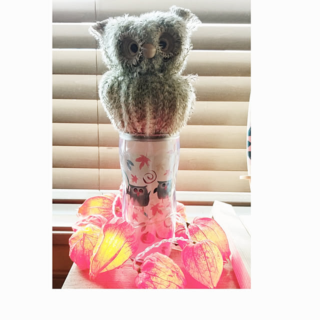 kimuneisanさんの実例写真