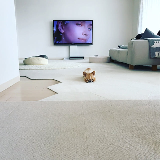haruhinaさんの実例写真