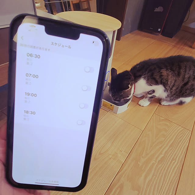 natuさんの実例写真
