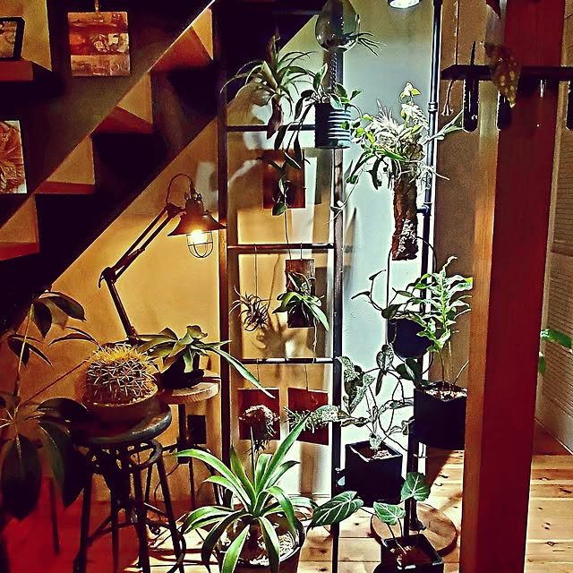 部屋全体/新生活/RoomClipショッピング/おうち見直し企画/リビング階段...などのインテリア実例 - 2026-03-20 23:59:36