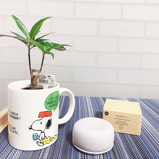 earthさんの実例写真