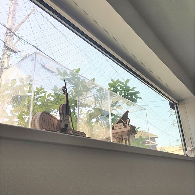 Maroさんの実例写真