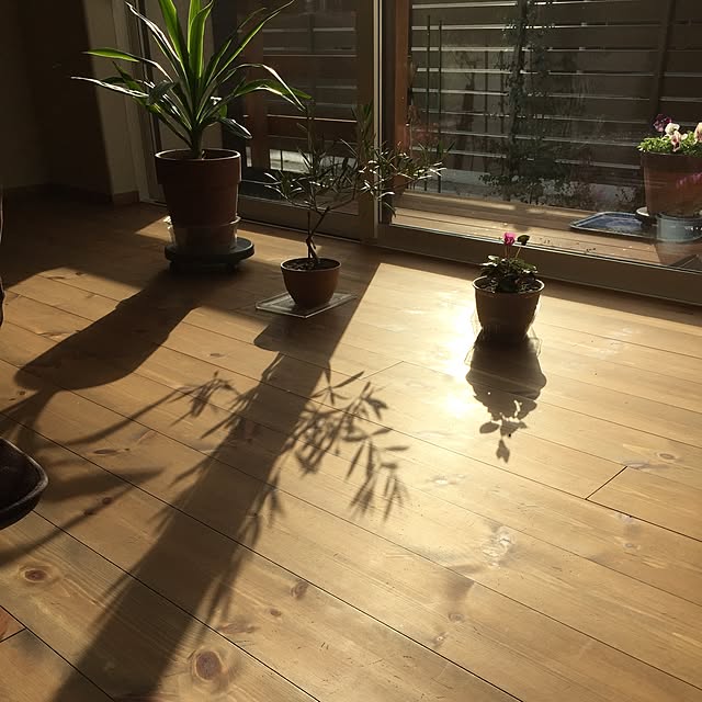 実例写真