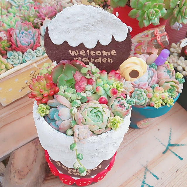 ksyf-naturalさんの実例写真