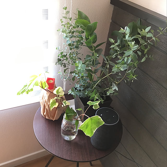 Yukinekoさんの実例写真