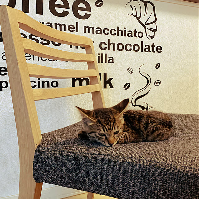 asasukenさんの実例写真