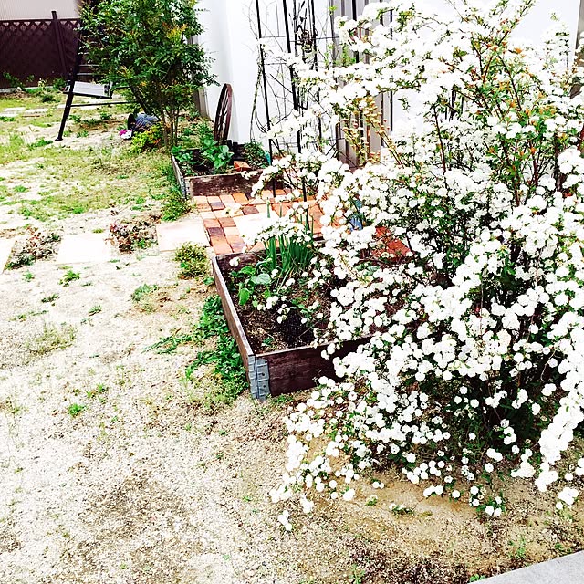 ma-さんの実例写真