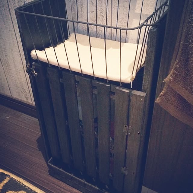 Arisaさんの実例写真