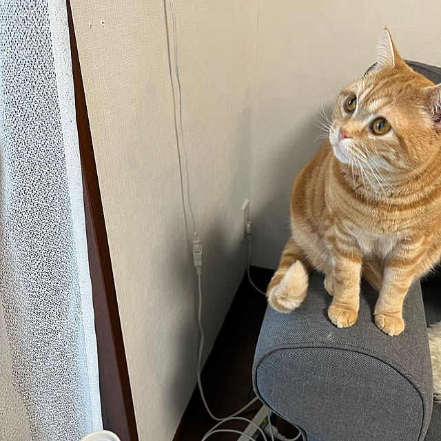 Atelier.mさんの部屋