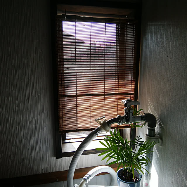 montomoさんの実例写真