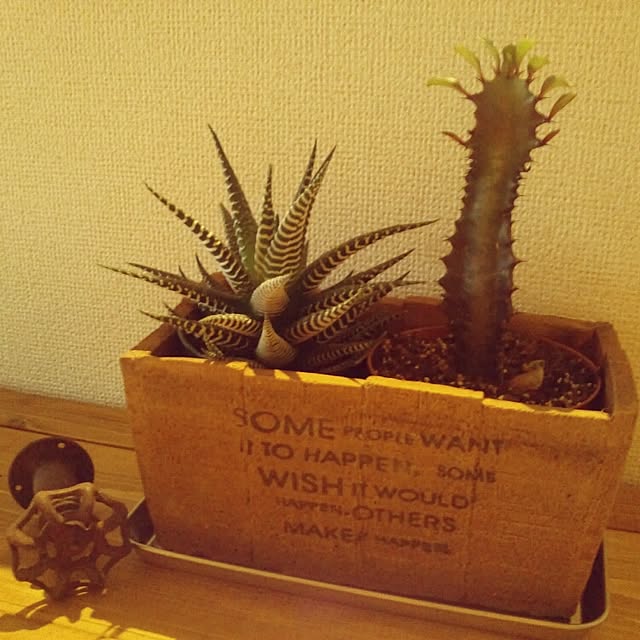 chi-taroさんの実例写真