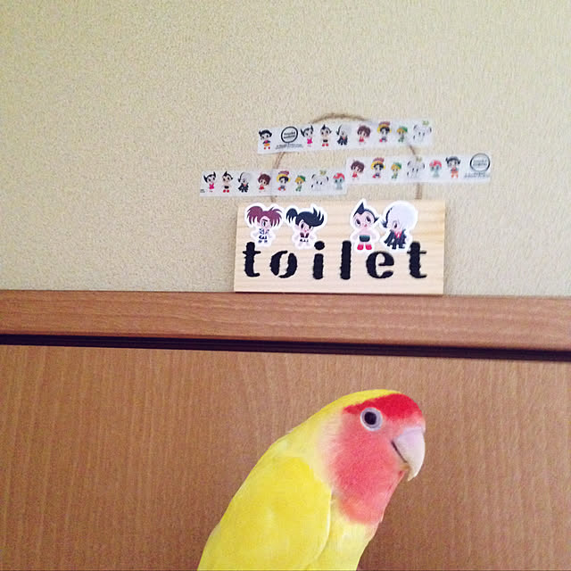 aoinokimiさんの実例写真